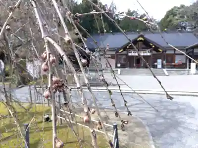足羽神社(福井県)