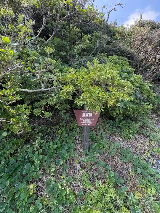 龍宮神社(龍宮厳)(高知県)