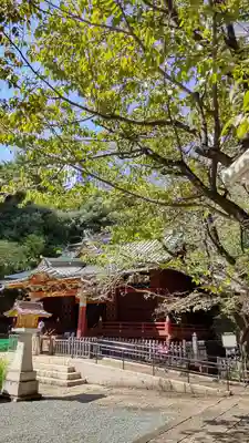金王八幡宮の本殿・本堂