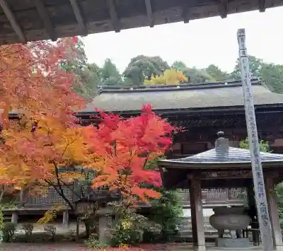 金剛輪寺(滋賀県)