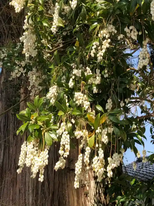 菅原神社(鹿児島県)