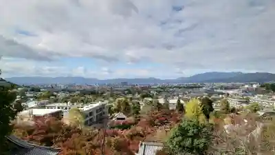 禅林寺（永観堂）の{uncategorized: "未分類", other: "その他", undefined: "問題あり", building: "その他建物", grave: "お墓", sacred_gate: "鳥居", guardian: "狛犬", statue: "像", buddha: "仏像", history: "歴史", nature: "自然", garden: "庭園", animal: "動物", pagoda: "塔", temizu: "手水舎", mountain_gate: "山門・神門", sanctuary: "本殿・本堂", subordinate: "末社・摂社", art: "芸術", scenery: "景色", jizo: "地蔵", ema: "絵馬", goshuin: "御朱印", omikuji: "おみくじ", items: "授与品その他", amulet: "お守り", goshuincho: "御朱印帳", eats: "食事", festival: "お祭り", votive_dance: "神楽", shichigosan: "七五三参", wedding: "結婚式", experience: "体験その他", initially: "初詣", around: "周辺", anti_infection: "感染症対策"}