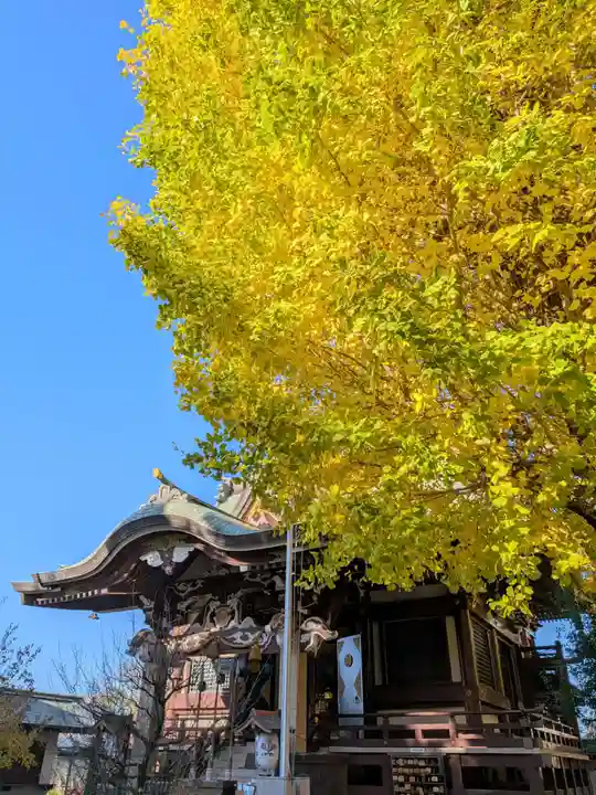 諏訪神社(東京都)