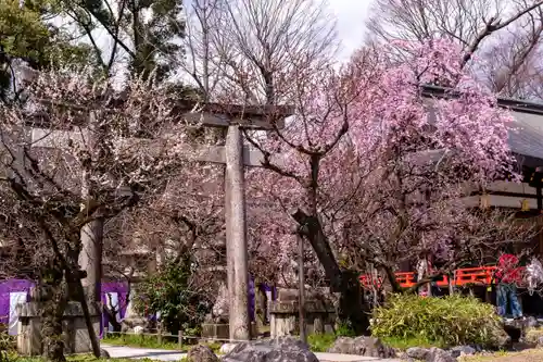 北野天満宮(京都府)