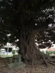 十二神社(千葉県)