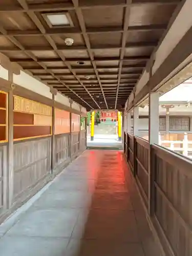 照國神社(鹿児島県)