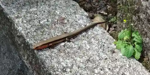 崇道神社(京都府)