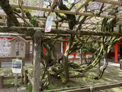春日大社(奈良県)