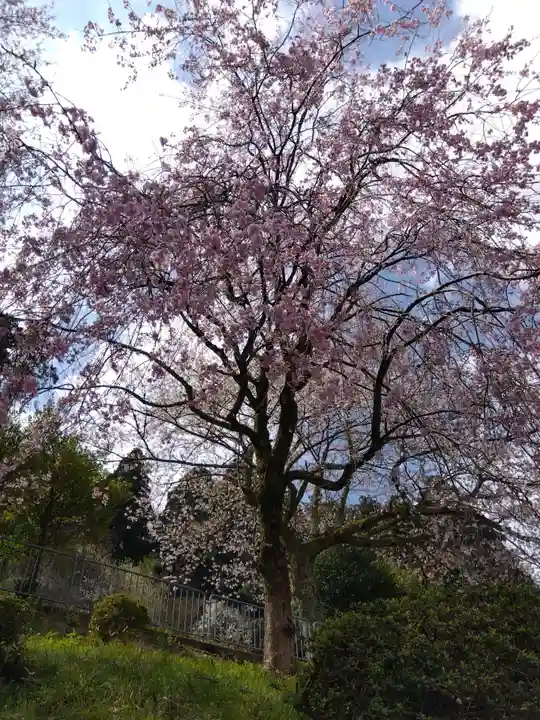 神明神社(村国)(福井県)