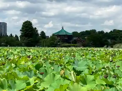 寛永寺(根本中堂)(東京都)