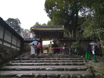 新宮神社(賀茂別雷神社摂社)(京都府)