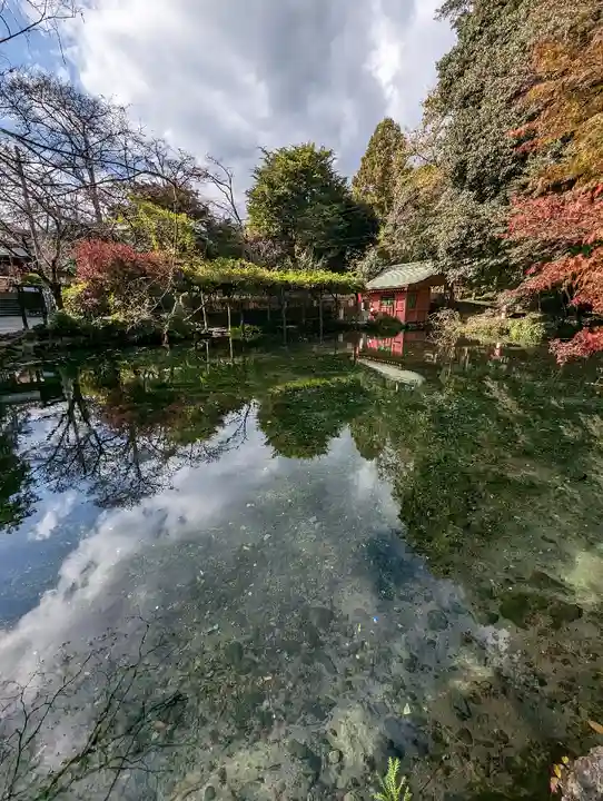 富士山本宮浅間大社(静岡県)