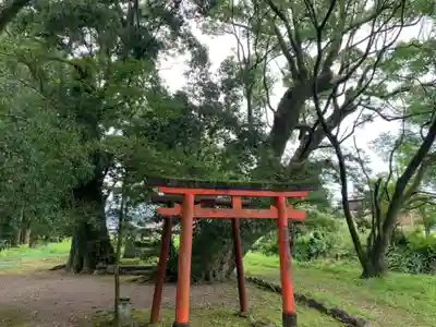 都萬神社の鳥居