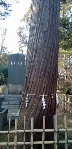 廣幡八幡宮の自然