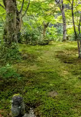 圓光寺(京都府)