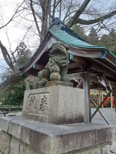 温泉神社〜いわき湯本温泉〜の狛犬