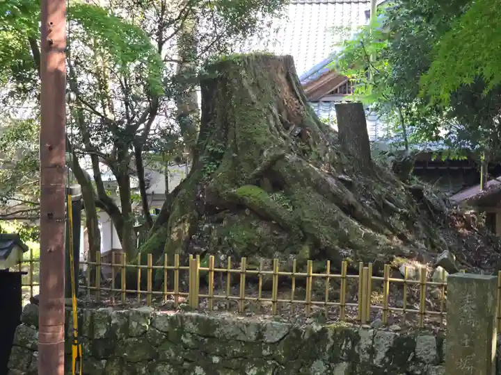 玉照院(延暦寺塔頭)(滋賀県)