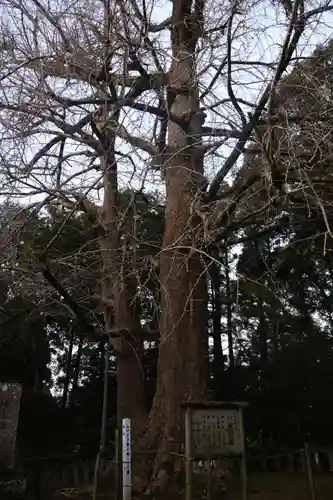 生目神社(宮崎県)