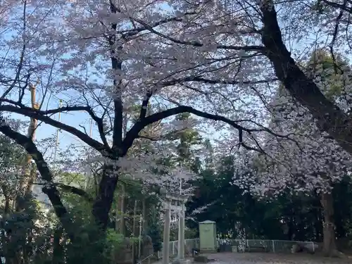 粟津神社(神奈川県)