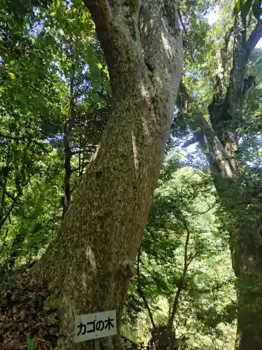 茂宇気神社(鳥取県)