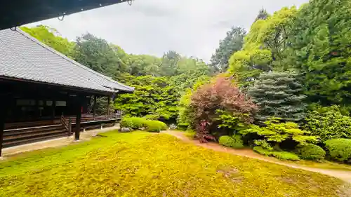 隨心院（随心院）(京都府)