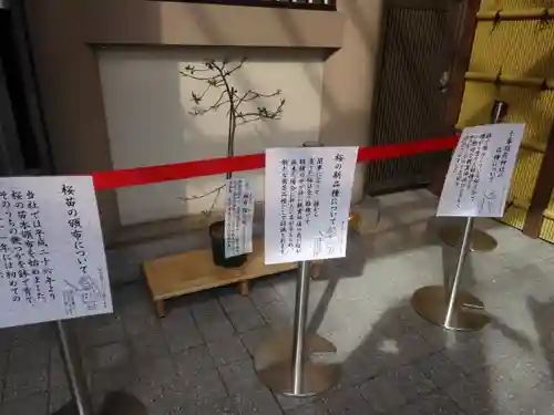 十番稲荷神社の自然