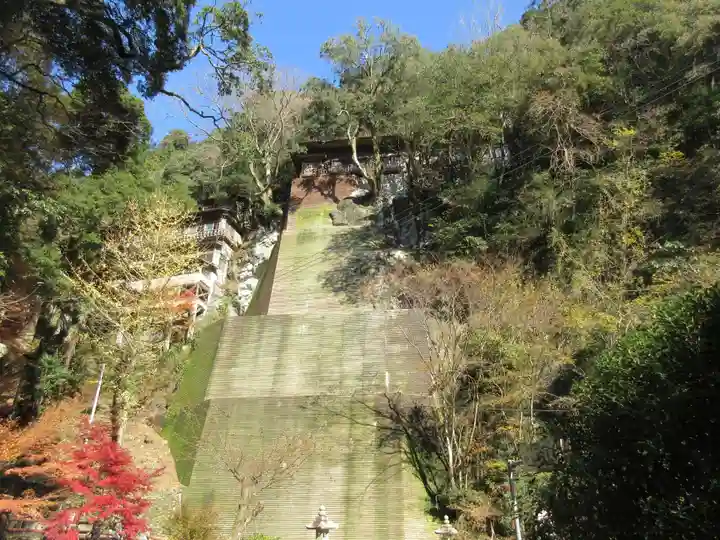 仙龍寺(愛媛県)