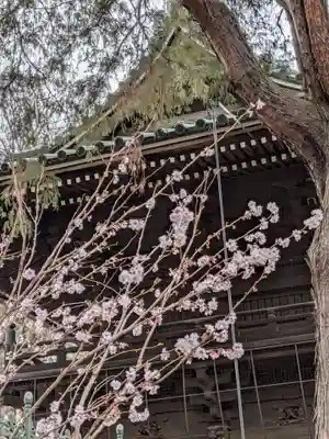 妙法寺(東京都)