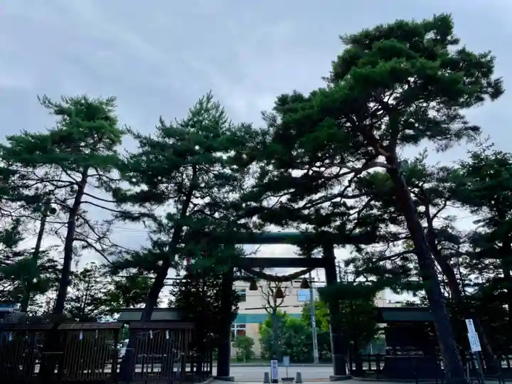 白石神社の鳥居