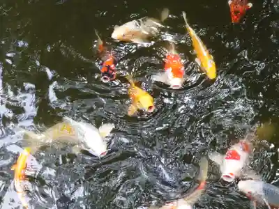 よみうりランド観音(東京都)