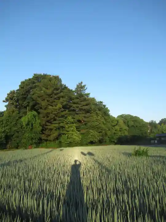 尾崎天神宮(千葉県)
