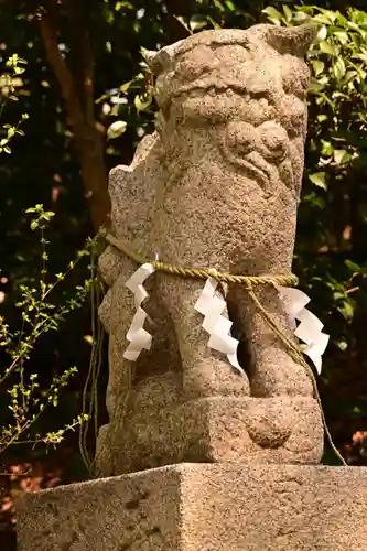 大山神社（自転車神社・耳明神社）の狛犬