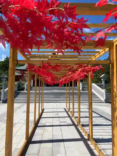 樽前山神社の体験その他