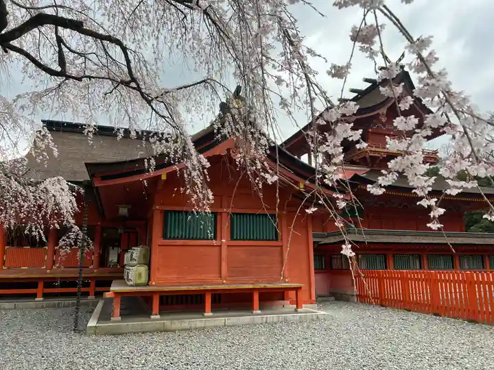 富士山本宮浅間大社(静岡県)