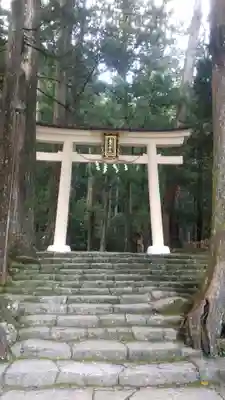 飛瀧神社(熊野那智大社別宮)の鳥居