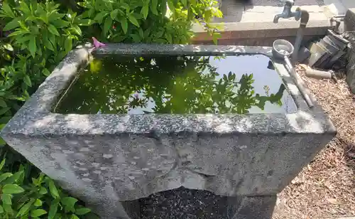 宮嶋神社(愛媛県)
