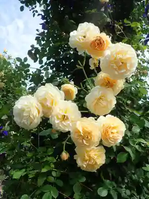 元町厳島神社(神奈川県)