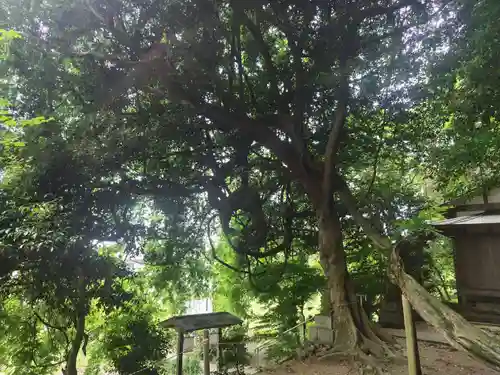 腰神神社(大阪府)