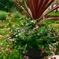 寿量山 速成寺の自然