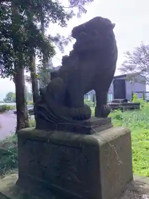 諏訪神社(荻ノ目)の狛犬