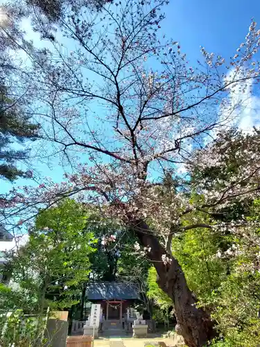 開成山大神宮(福島県)