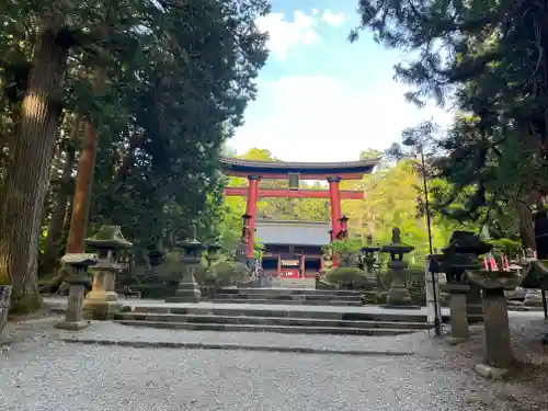 北口本宮冨士浅間神社の鳥居