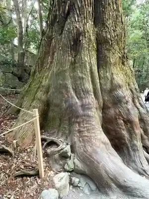 伊勢神宮内宮（皇大神宮）(三重県)