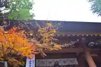 東京大神宮(東京都)