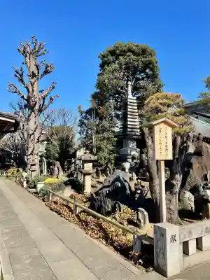 常性寺(東京都)