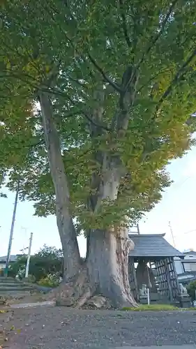 鮫八幡宮(青森県)