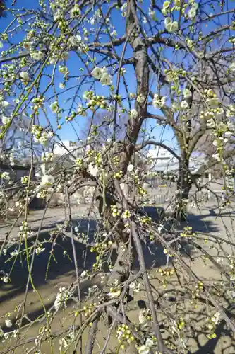 寛永寺(根本中堂)(東京都)