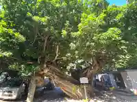 龍王神社(和歌山県)