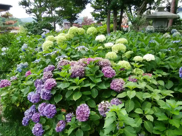 西野神社(北海道)