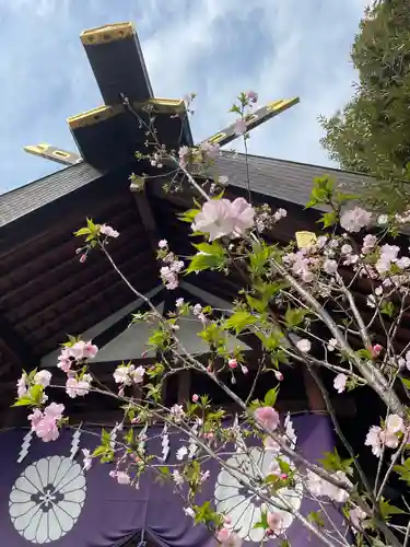 東京大神宮(東京都)